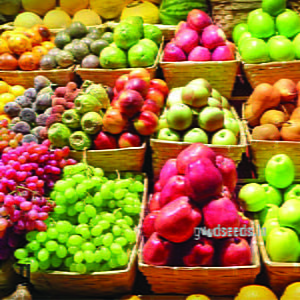 Fruits Medley