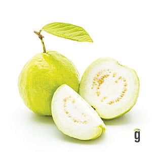 Guava White