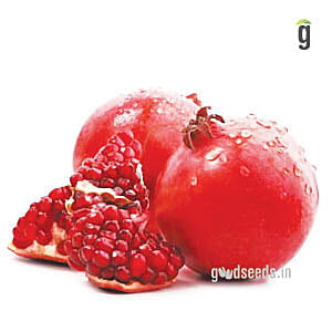 Pomegranate