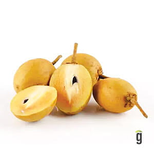 Sapota