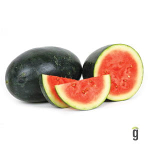 Watermelon Watermelon